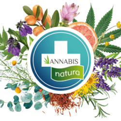 Volná místa - Annabis s.r.o.