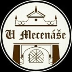 Volná místa - Restaurace U Mecenáše